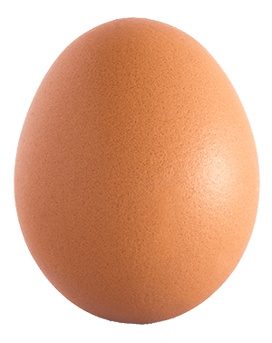 Egg